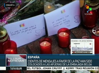 Descargar video: Cunde la islamofobia en Europa tras ataques terroristas en Bruselas