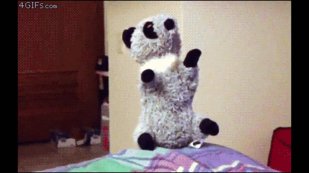 Funny Animals, Animales Divertidos (Parte1)