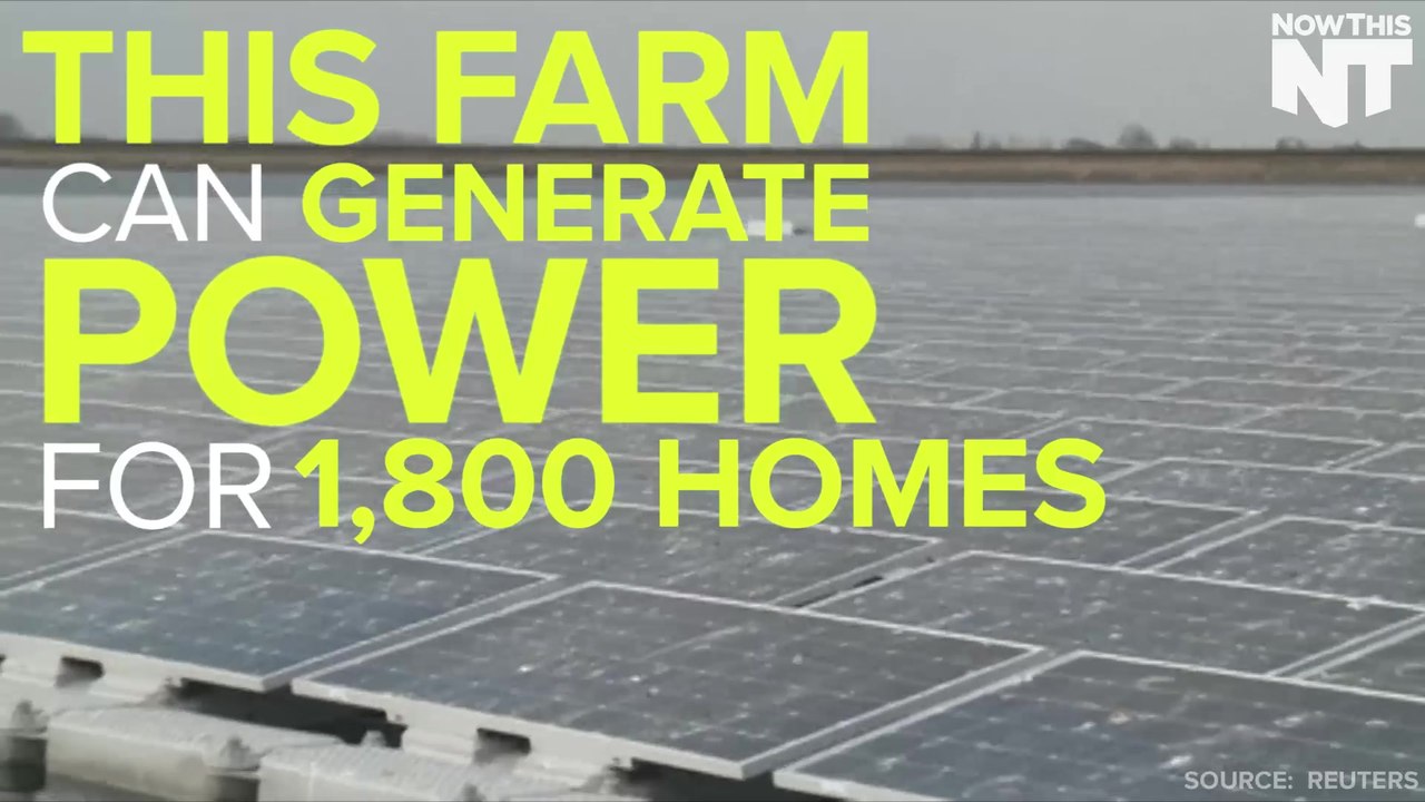 This Is Europe's Largest Floating Solar Farm