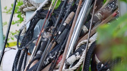 The Tides of Time: Islamorada, Florida