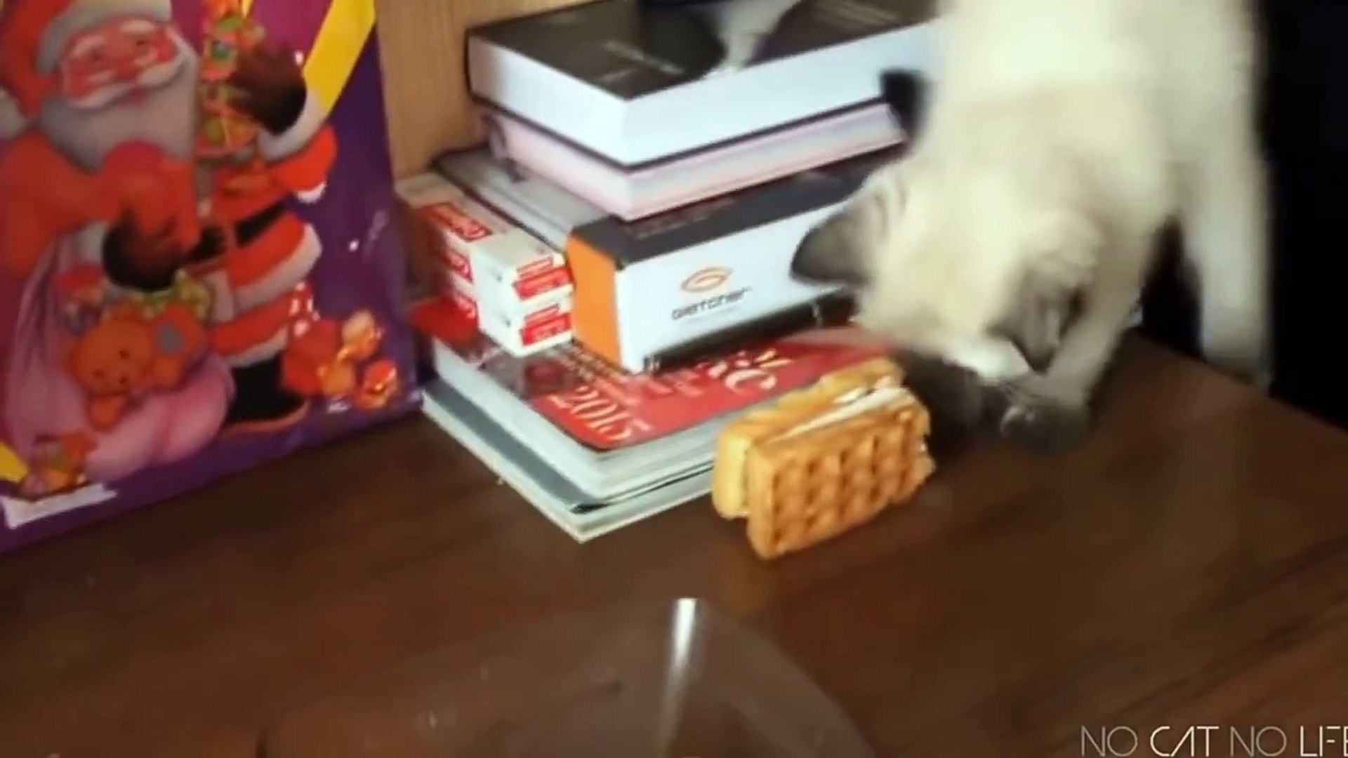 ⁣Смешные животные 2 ● Приколы 2014. Кошки, собаки и другие ● Funny animals ● Cats, dogs and