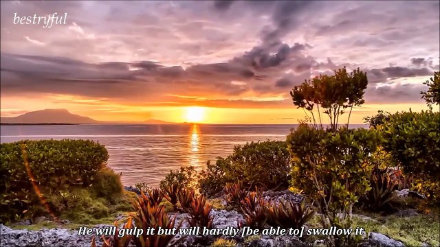 amazing Quran Recitation by idris abkar