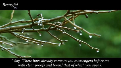 The most heart soothing Quran Recitatoin -- very beautiful & emotoinal -- by Mu'ayyid al-Mazen