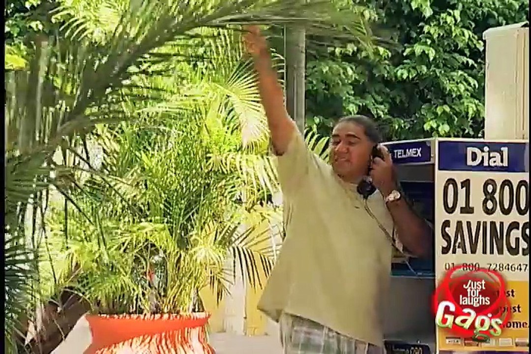 Annoying Palm Tree Gag