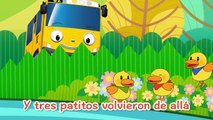 [Tayo Canciones Infantiles] #18 Cinco patitos