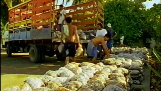 GIANT TORTOISE & TURTLES 44