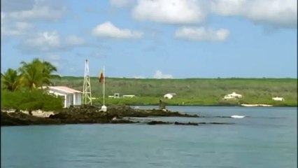 GIANT TORTOISE & TURTLES 59