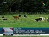 Ecuador: gob. y ganaderos buscan reducir costos de producción de leche