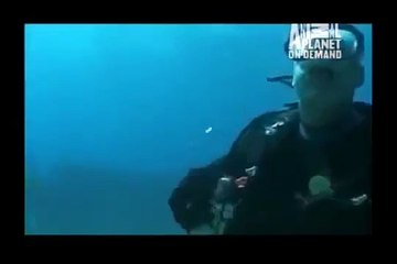 GREAT BARRACUDA ATTACK 3