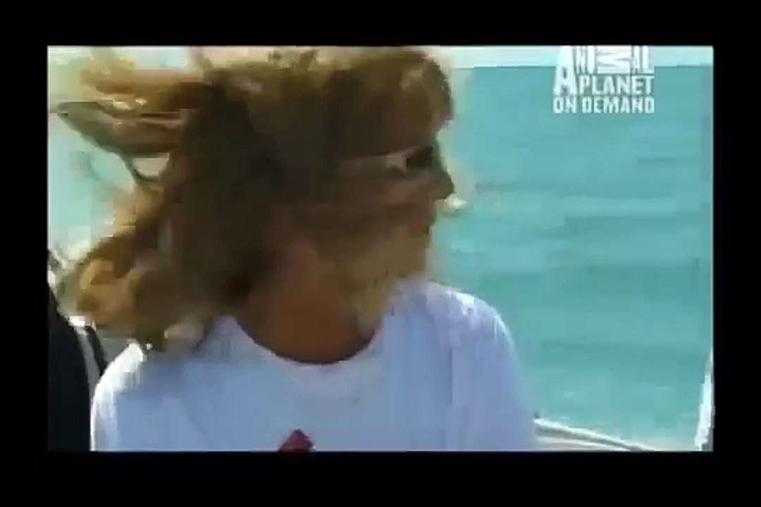 GREAT BARRACUDA ATTACK 10
