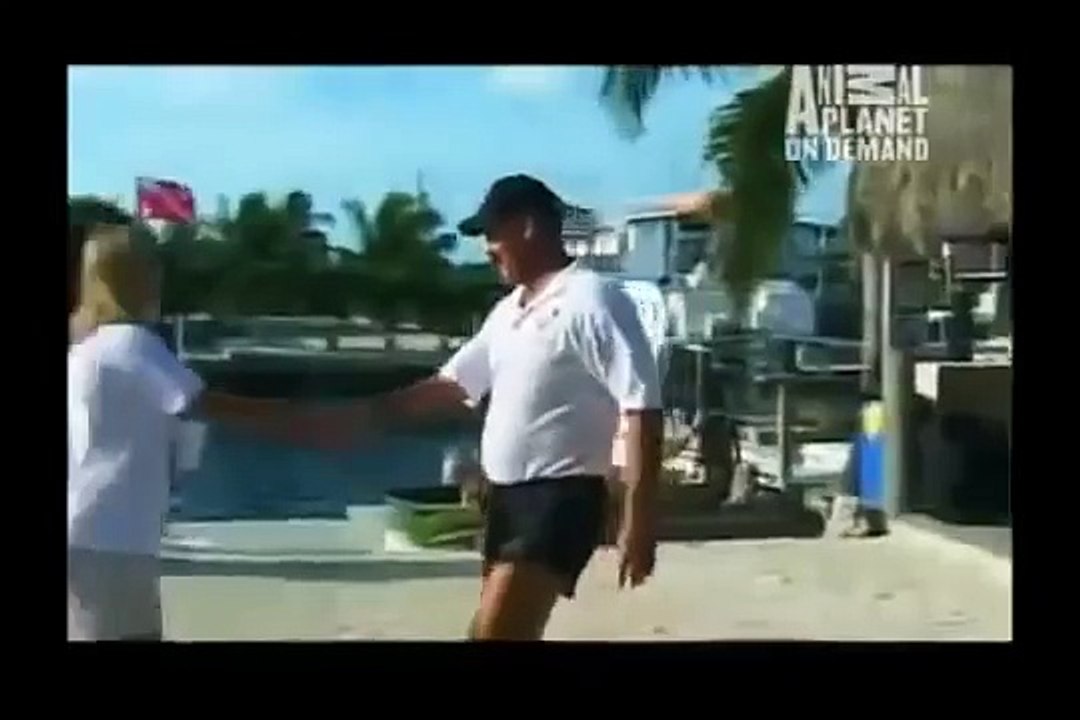 GREAT BARRACUDA ATTACK 12