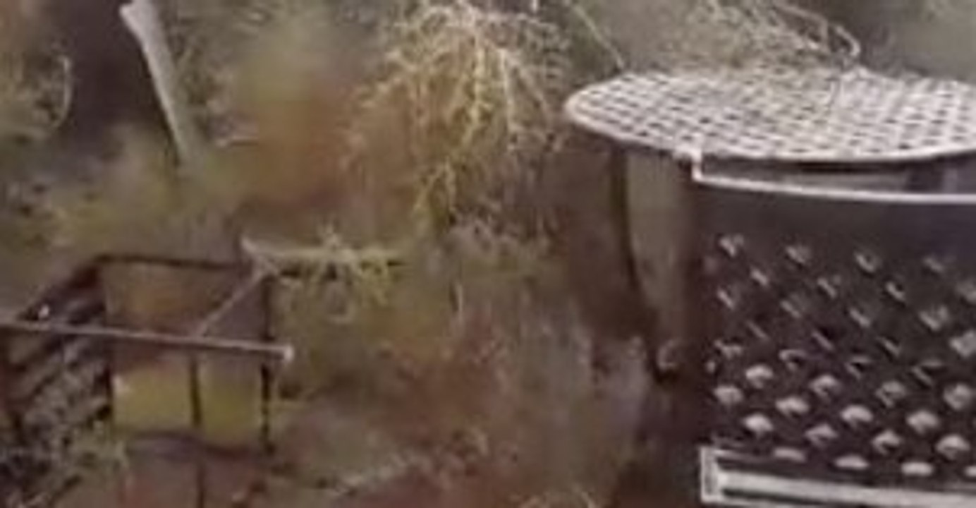 Tumbleweed Mountains 'As High as Roofs' Form in Albuquerque