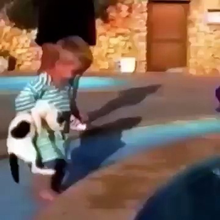 Funniest Animal Fails Compilation || FailArmy