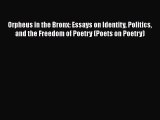 PDF Orpheus in the Bronx: Essays on Identity Politics and the Freedom of Poetry (Poets on Poetry)