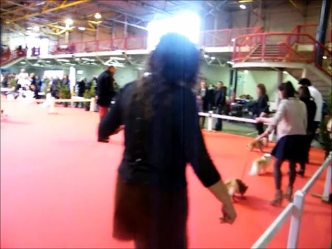 EXPOSITION BOURGES LE 19 ET 20 FEVRIER 2016