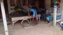 Man captures terrifying 5m snake hiding under his bed - with a simple household object