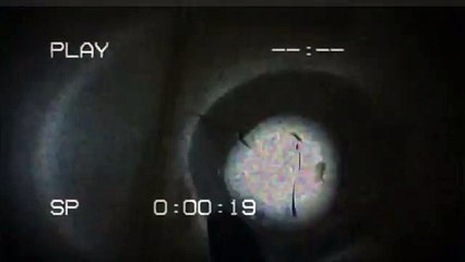 Top 60 Non Gaming Creepypastas 134