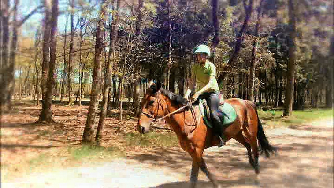 G4 Deplacer les hanches du cheval