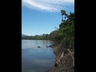 Chaudron Magique - Sachant
