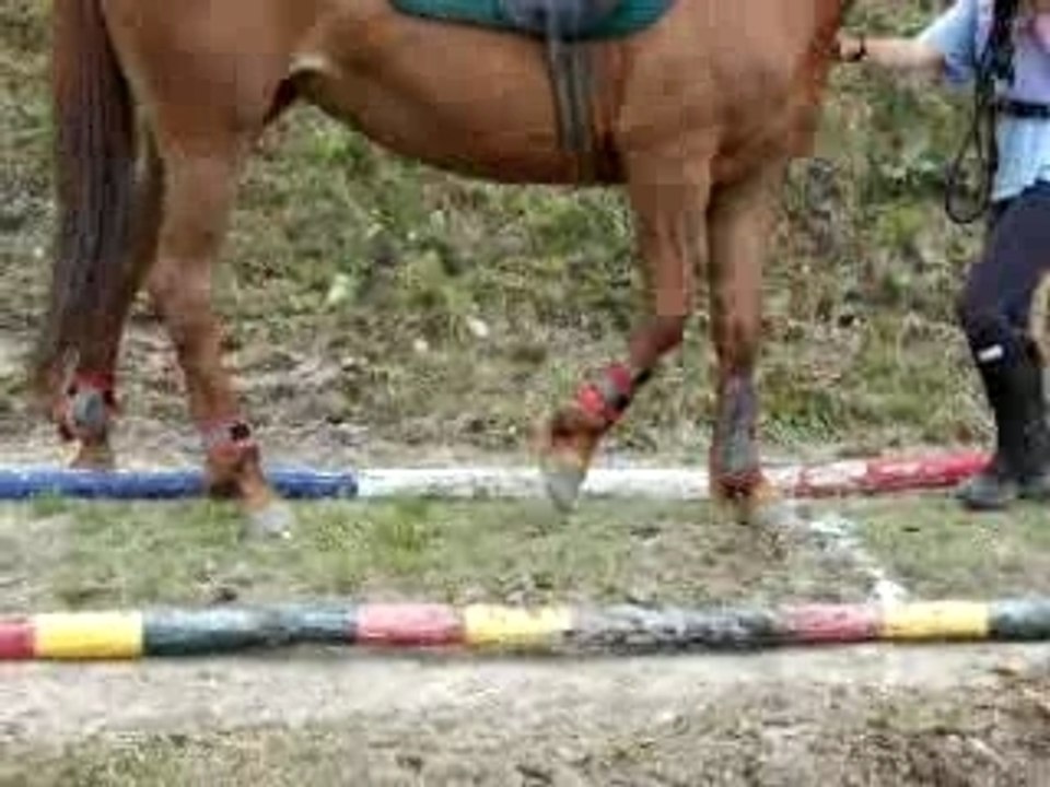 TREC 20 mai 016