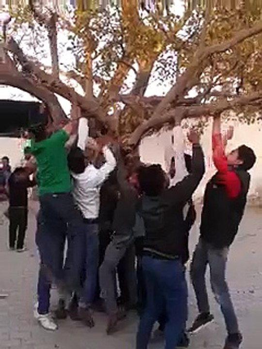what a funny moment