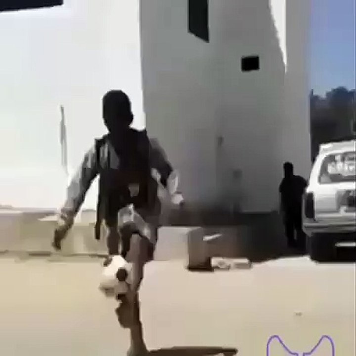 هدف على الطائر