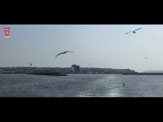 حسام الرسام - موال مثل الشمع / Video Clip