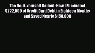 Download The Do-It-Yourself Bailout: How I Eliminated $222000 of Credit Card Debt in Eighteen
