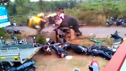 Elephant destroys rickshaw during festival in India