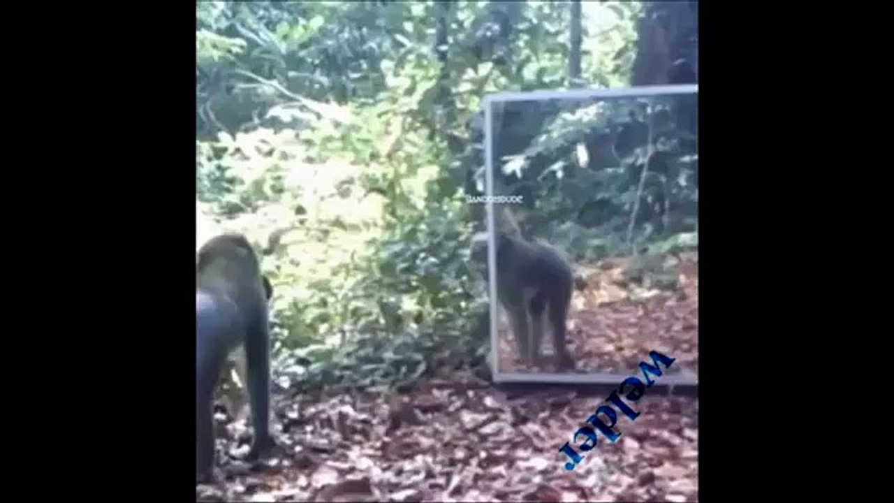Instagram Fail Videos Compilation # 13