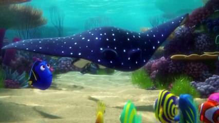 Disney Pixars FINDING DORY New TRAILER