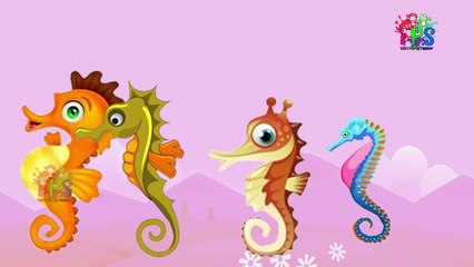 Animals Cartoons Finger Family Children Nursery Rhymes | Animals Finger Family Rhymes for