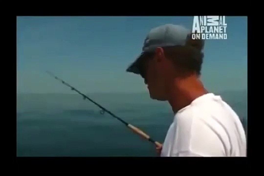 GREAT BARRACUDA ATTACK 42