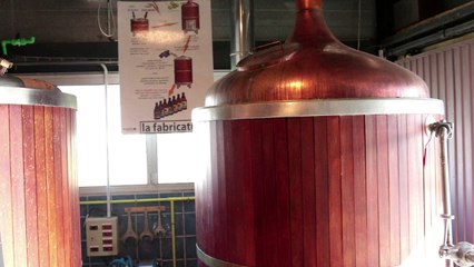 Daily RebelleN° 5 Vincent Gachet - Projet Mandrin