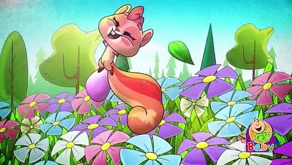 سنجوبة (ايقاع) - قناة بيبي الفضائية Toyor Baby Channel