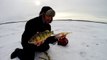 Ice Fishing Little Lake Butte Des Morts Perch, Walleye, and Northern Pike 3-14-15