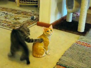 Do Yourself A Favor And Watch This Kitten Attack A Ceramic Cat