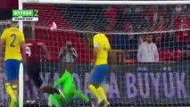 Turkey vs Sweden 2-1 All Goals & HIghlights _24.3.2016_ Friendlies