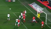 Wales vs Northen Ireland 1-1 All Goals & Highlights (Friendly 2016)