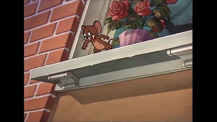 Tom and Jerry Cartoon Casanova Cat