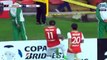 Santa Fe vs Cobresal 3-0 RESUMEN GOLES EN HD Copa Libertadores 2016