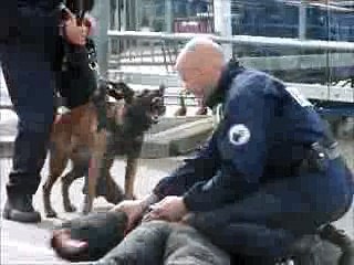 démonstration chien attaque police