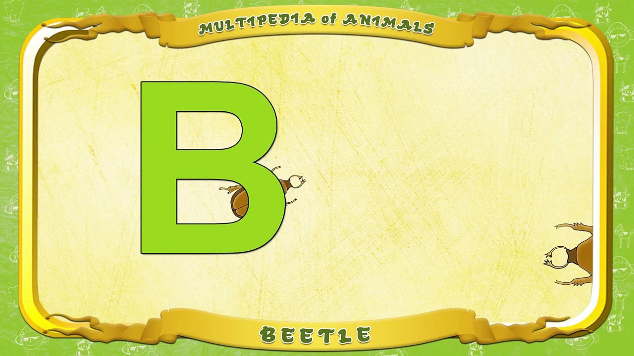 Multipedia of Animals. Letter B Beetle