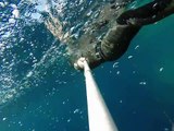 Freediving Philippines - Arch of Pescador Island, 27 metres deep