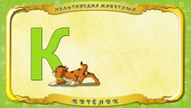 Мультипедия животных. Буква К Котёнок