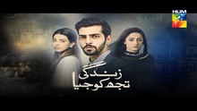 Zindagi Tujh Ko Jiya Episode 17 Promo HUM TV Drama 17 Mar 2016