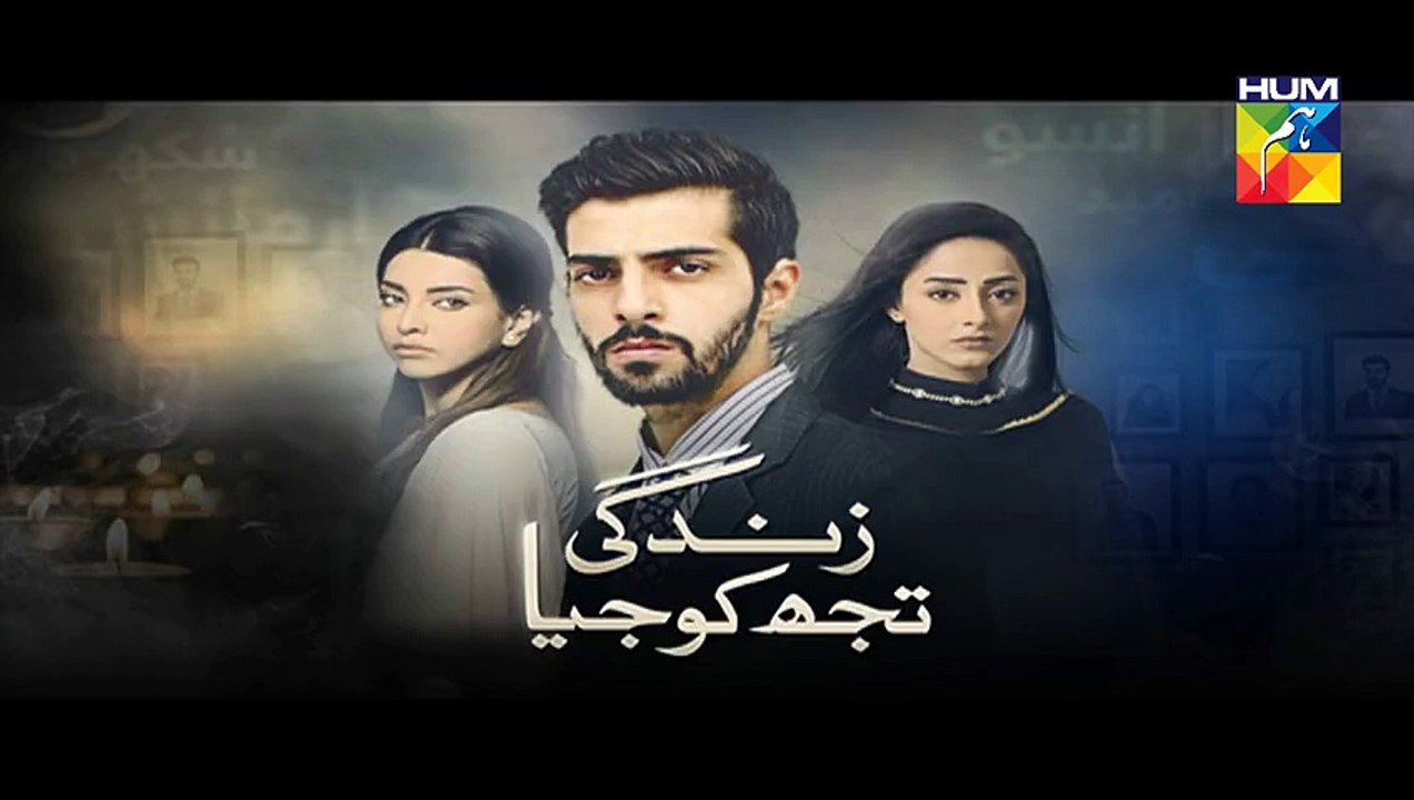 Zindagi Tujh Ko Jiya Episode 17 Promo HUM TV Drama 17 Mar 2016