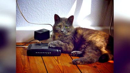 10 Laws Youve Broken Without Realising