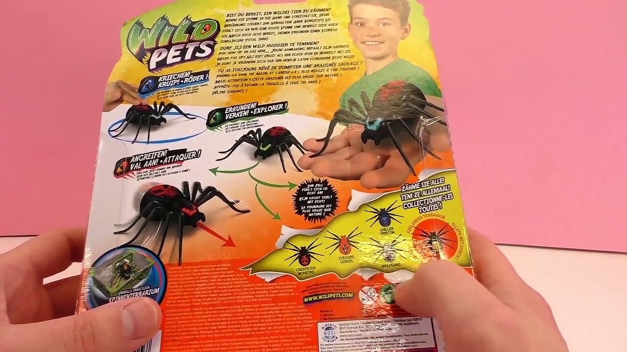 Wild Pets français – Une araignée dans la maison – Jouet effrayant pour faire peur et pour