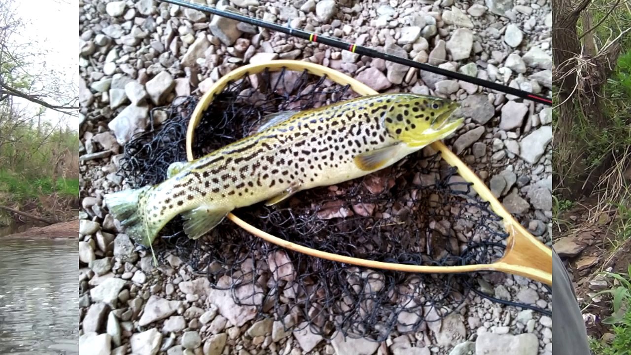 Basic Fishing Rig for Trout - Split Shot and a Worm